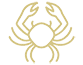 Drawing of a crab.